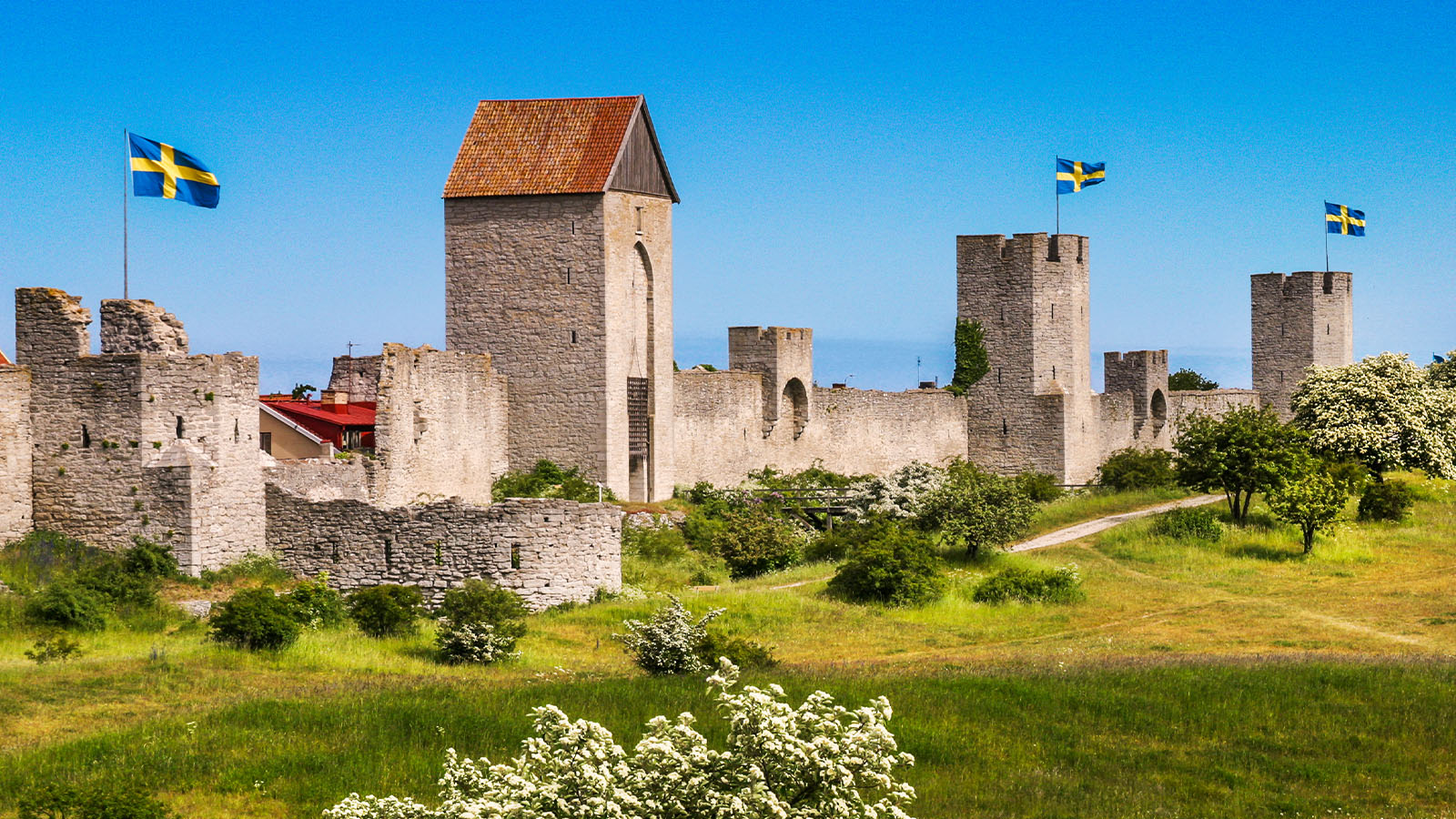 Kryssning till sterlen & Gotland